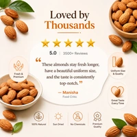 Bazana Foods Pvt Ltd Bazana Premium California Raw Almonds - 500g