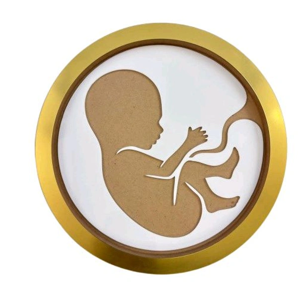 MDF Baby in Womb Frame - 15 inches