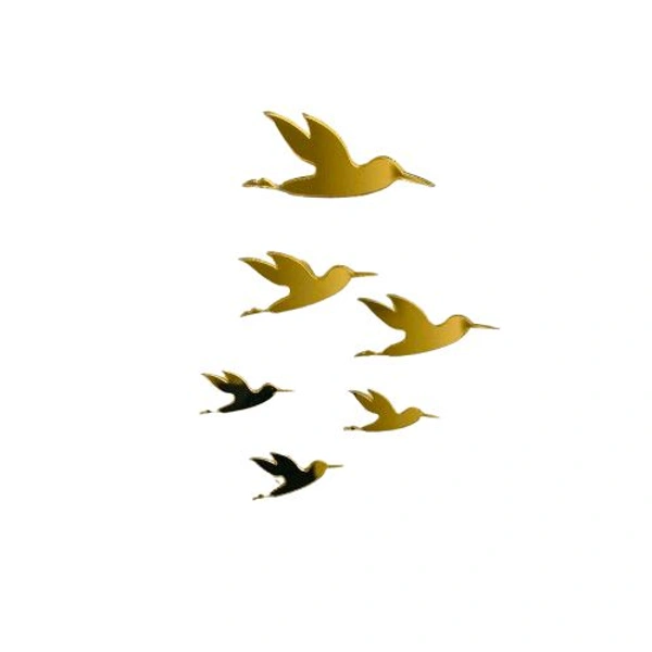 Bird Acrylic Cutouts - 45 Pieces - 45 Pieces