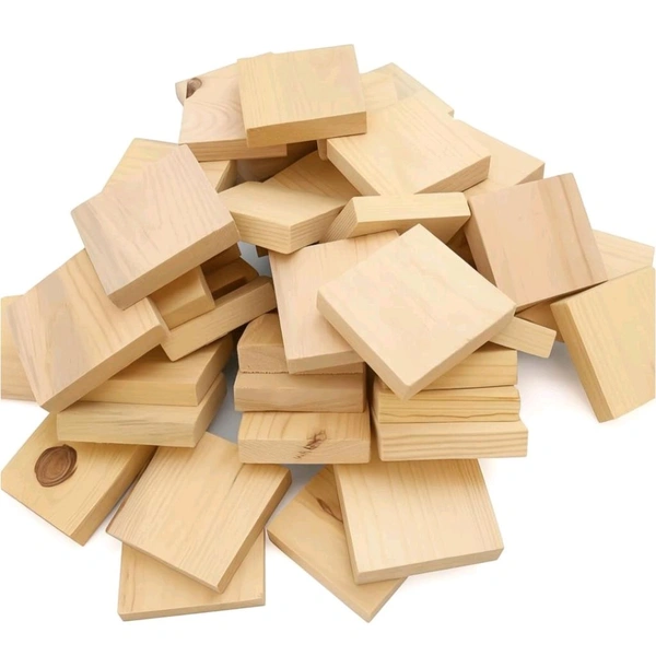 Unfinished Wood Blocks for Crafts - set of 12