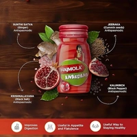 Hajmola Dabur Hajmola Tablet - Pack of 120 Tablets (Anardana) - 120 TAB