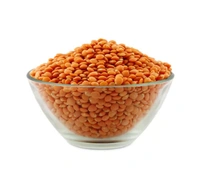 Bengal's Bigbazar Branded Masoor Dal - Premium Quality (Small Dana) - 500 GM