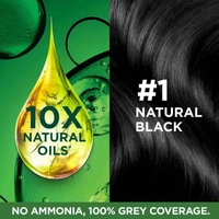 Garnier Color Naturals Hair Colour - BLACK 1 - Pouch Pack