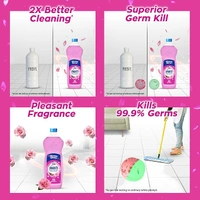 Lizol Shakti Floor Cleaner - ROSE - 450 ML