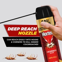 Mortein Cockroach Killer Spray
