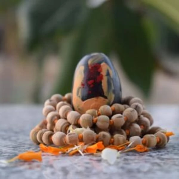 Shaligram with Tulsi Mala