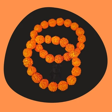 Rudraksha