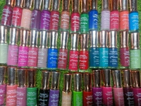 6015 Shanwaz Nail Polish 