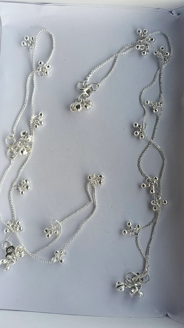 8009 Silver Payel