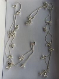 8009 Silver Payel