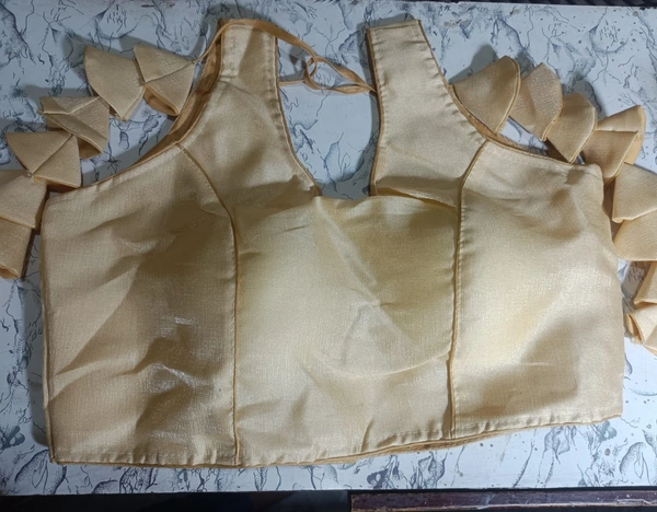 12004 Latkan Blouse  - Free Size