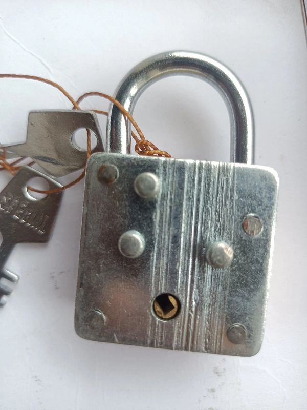 Godrej Lock With 2 Key 30mm