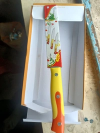 Kitchen Knife