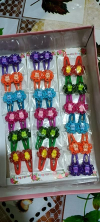 4062 Hair Clip