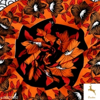 Bombay Dyeing Bedsheet (Cash On Delivery) - Free Shipping