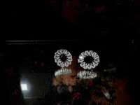 Glassy Stud Earring 