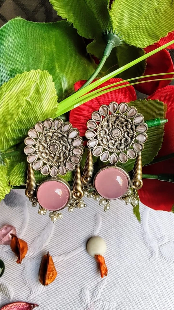 Indian oxidized Earring -3