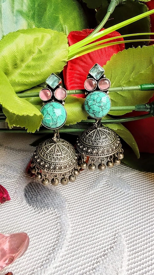 Indian oxidized Earring-4