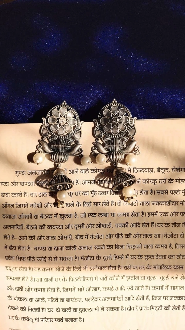 Indian oxidized Earring 18