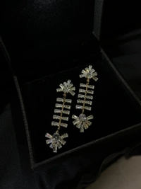 Party Wear Earring 