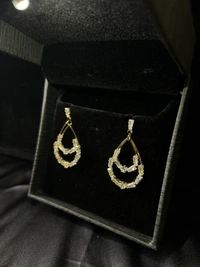Party Wear Earring 