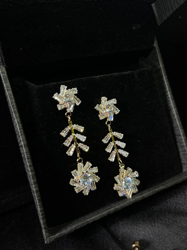 Party Wear Earring 