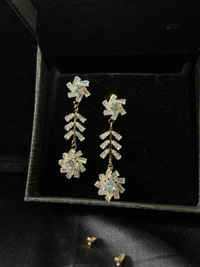 Party Wear Earring 