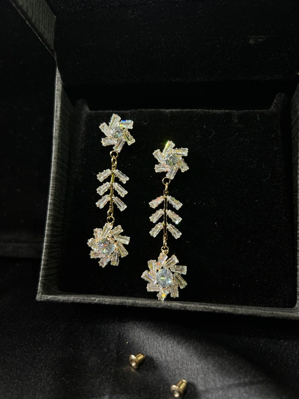 Party Wear Earring 