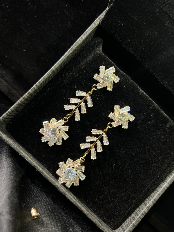 Party Wear Earring 