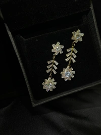 Party Wear Earring 