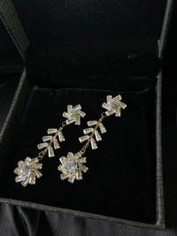 Party Wear Earring 