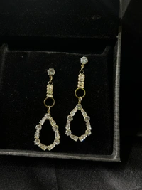 Party Wear Earring 