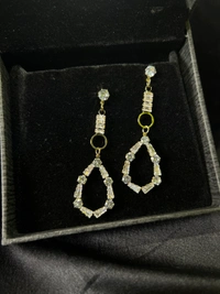 Party Wear Earring 