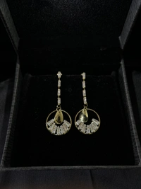 Party Wear Earring 