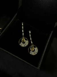 Party Wear Earring 