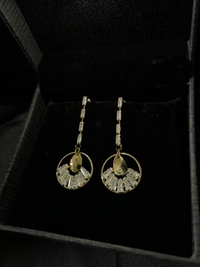 Party Wear Earring 