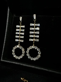 Party Wear Earring 