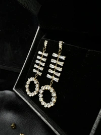 Party Wear Earring 