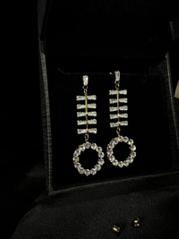 Party Wear Earring 
