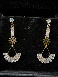 Party Wear Earring 