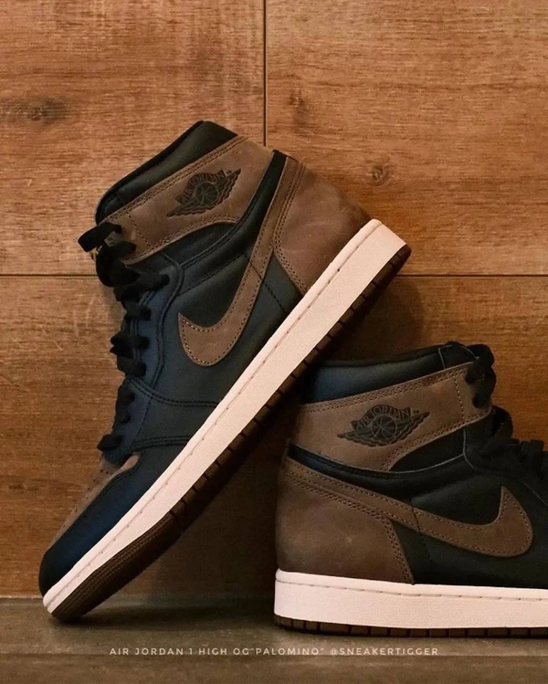 Nike Air Jordan Coffee