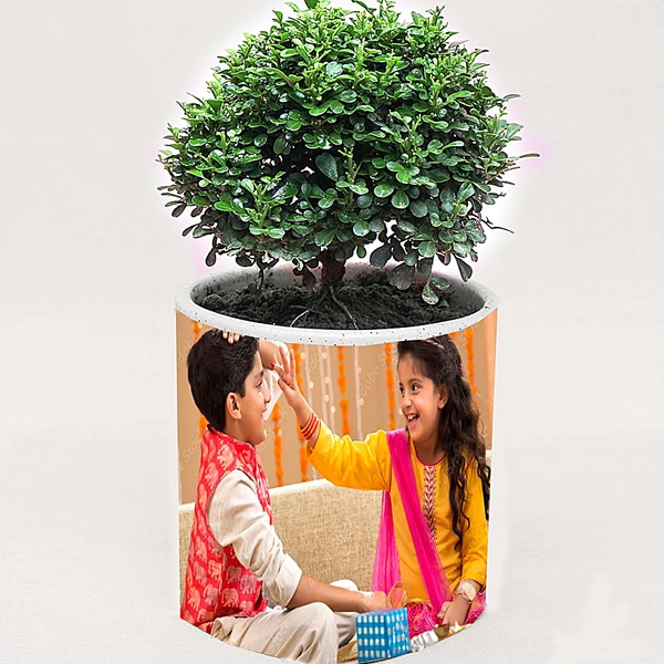 Photo Planter
