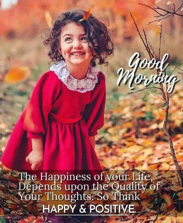 Butterfly Wings Without Light 