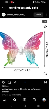 Butterfly Wings Without Light 