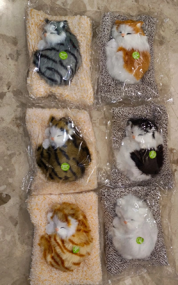 Meow 😻 cat Show piece