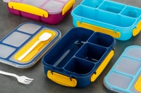 Fusion Bento lunch box