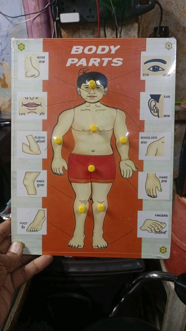 Wooden Block Body Parts 