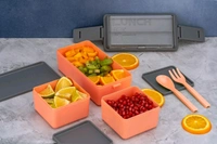 Double decker lunch box plastic