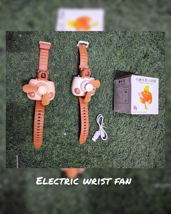 Electric wrist fan 
