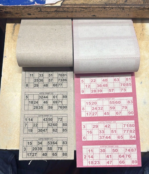 Regular tambola ticket Colour 
